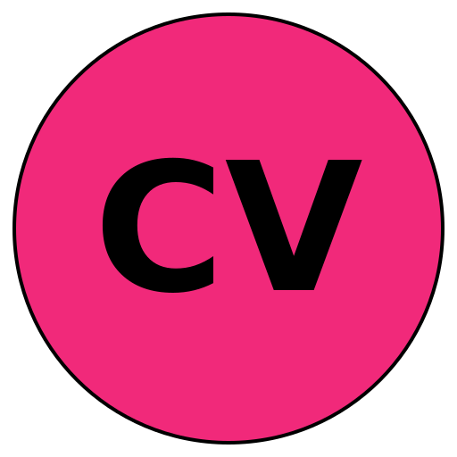 CraftVision